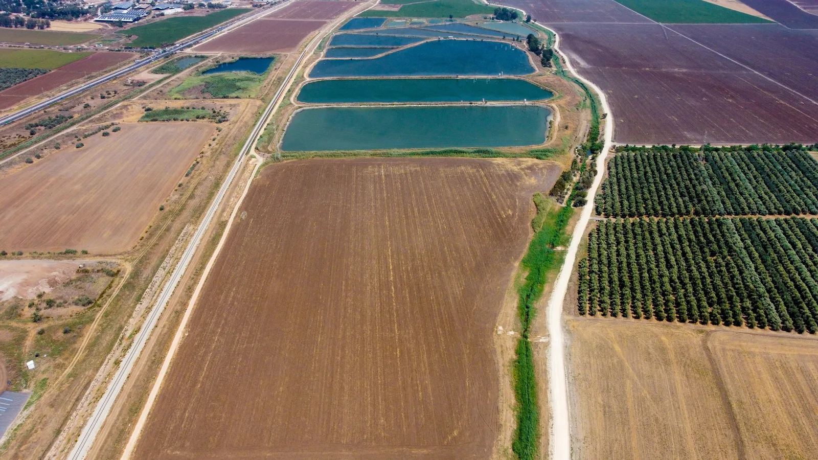 Central Valley irrigated farmland aerial