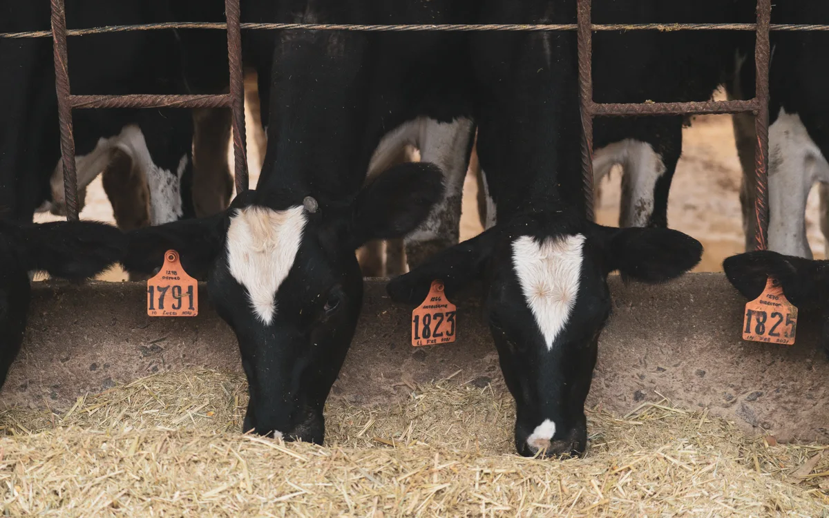Agri Tracking Systems dairy facility and compliance record overview