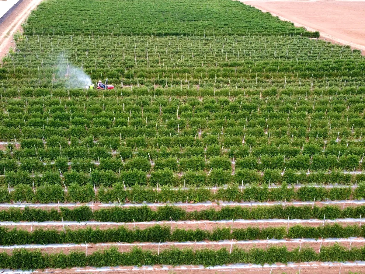 Aerial view of agricultural fields and parcel patterns