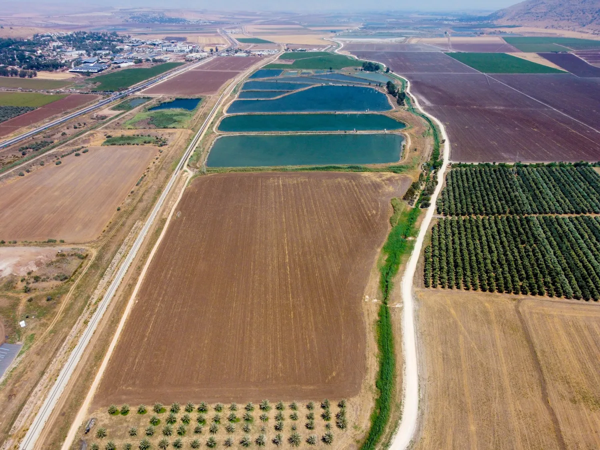 Aerial view of irrigated Central Valley farmland