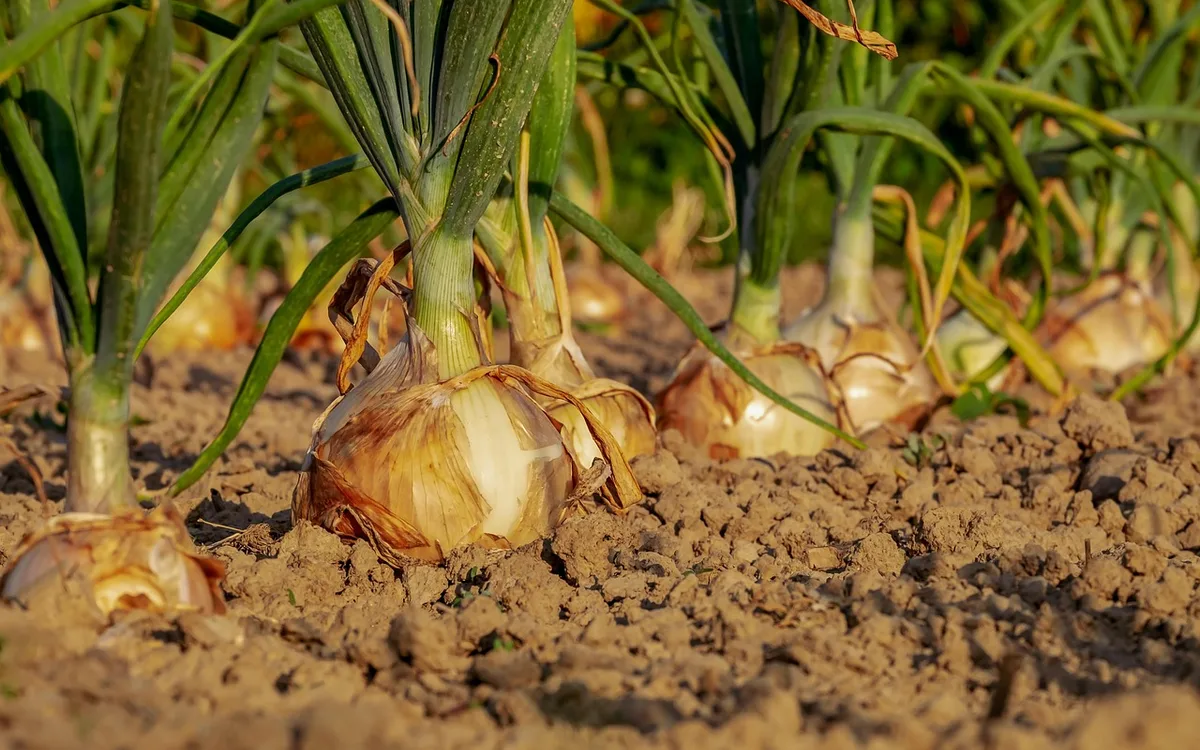 Agri Tracking Systems farm and field record overview